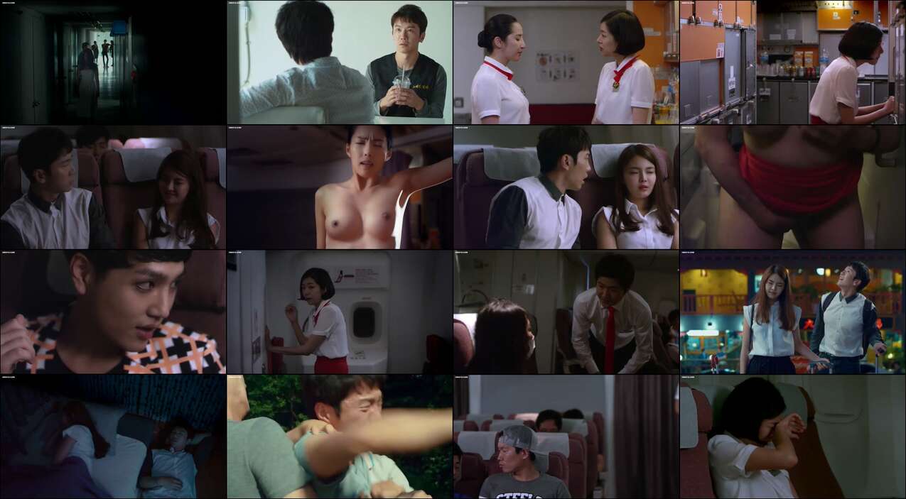 A Delicious Flight (2015)